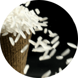 Vanille de Madagascar production riz